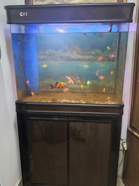 Aquarium Tank with full filtration - 1