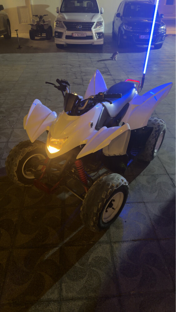 cobra 220 - 1