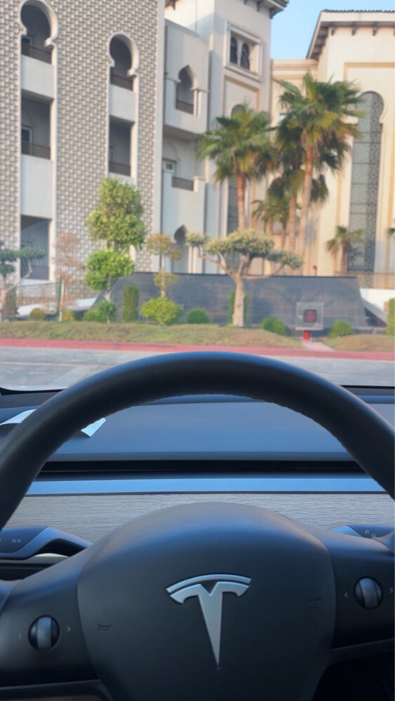 tesla model 3 2021 - 4