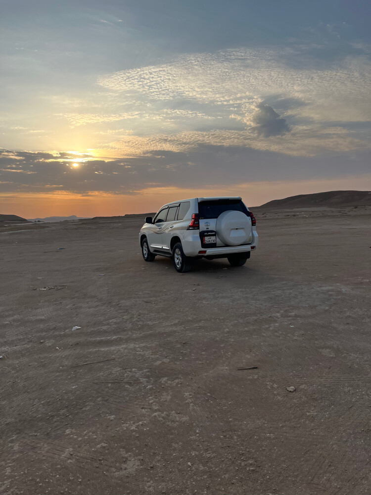 PRADO 2019 V6 - 10