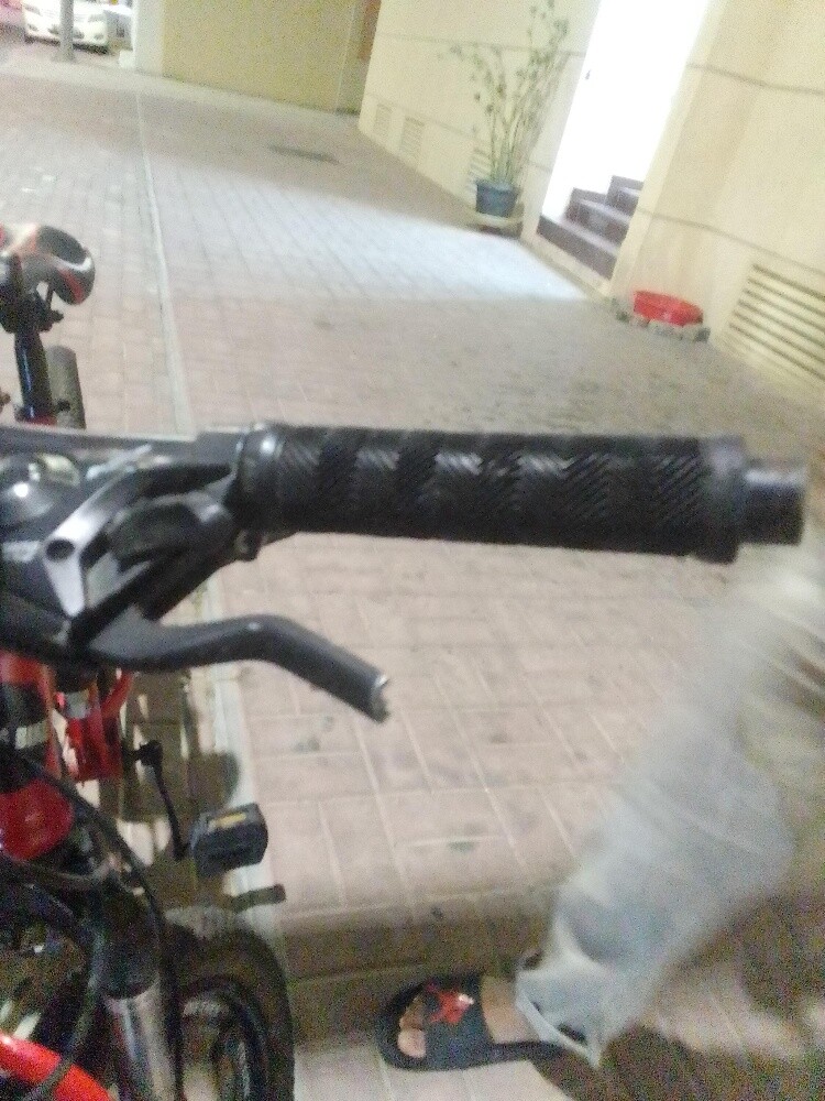 morshed - 3