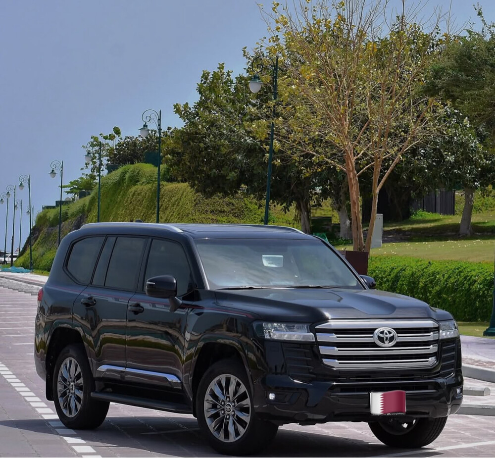 VIP LIMOUSINE - 1
