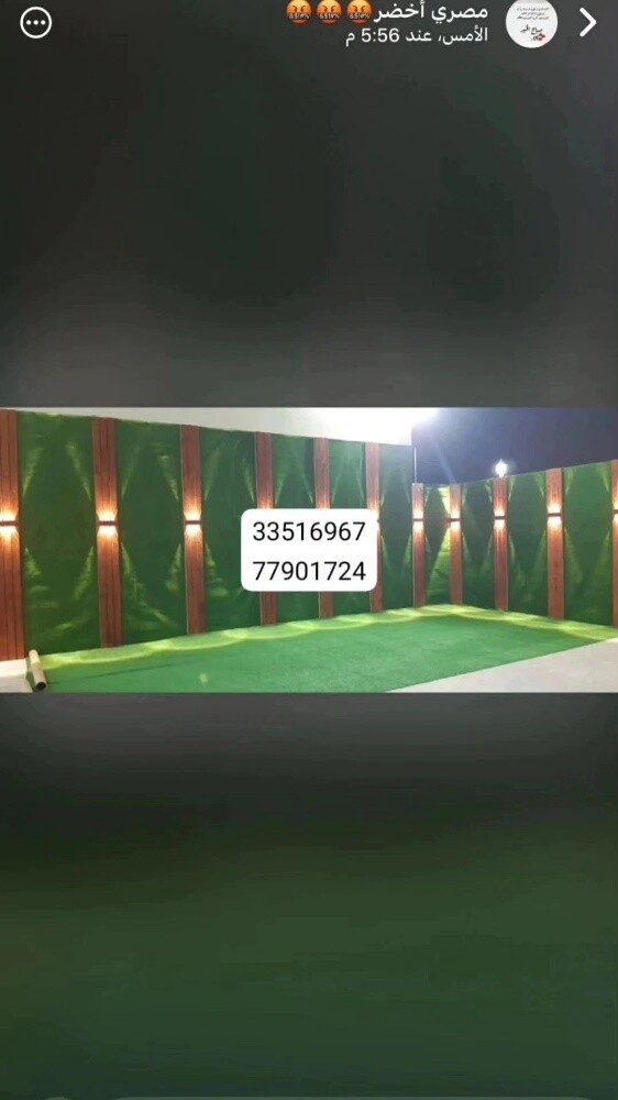 عشب اخضر - 27