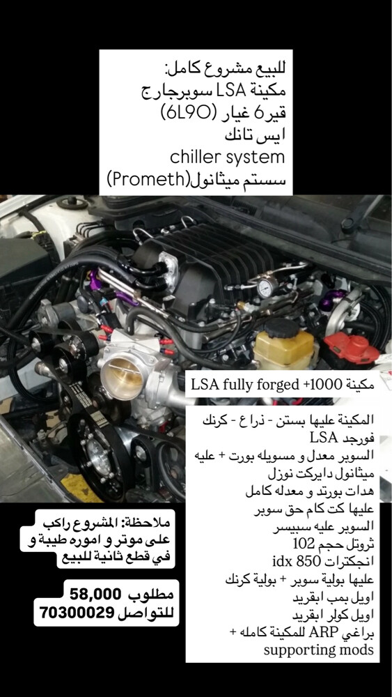 LSA engine project - 1