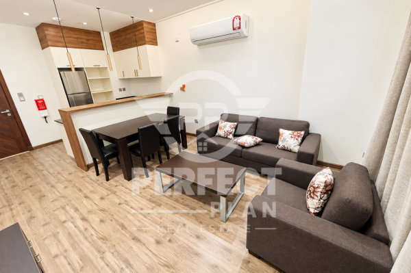 Furnished 1BHK in Old Airport - 1