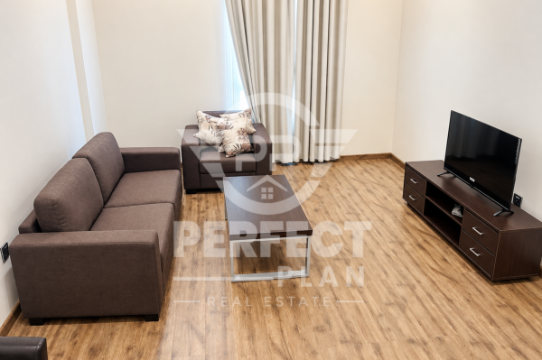 Furnished 1BHK in Old Airport - 5