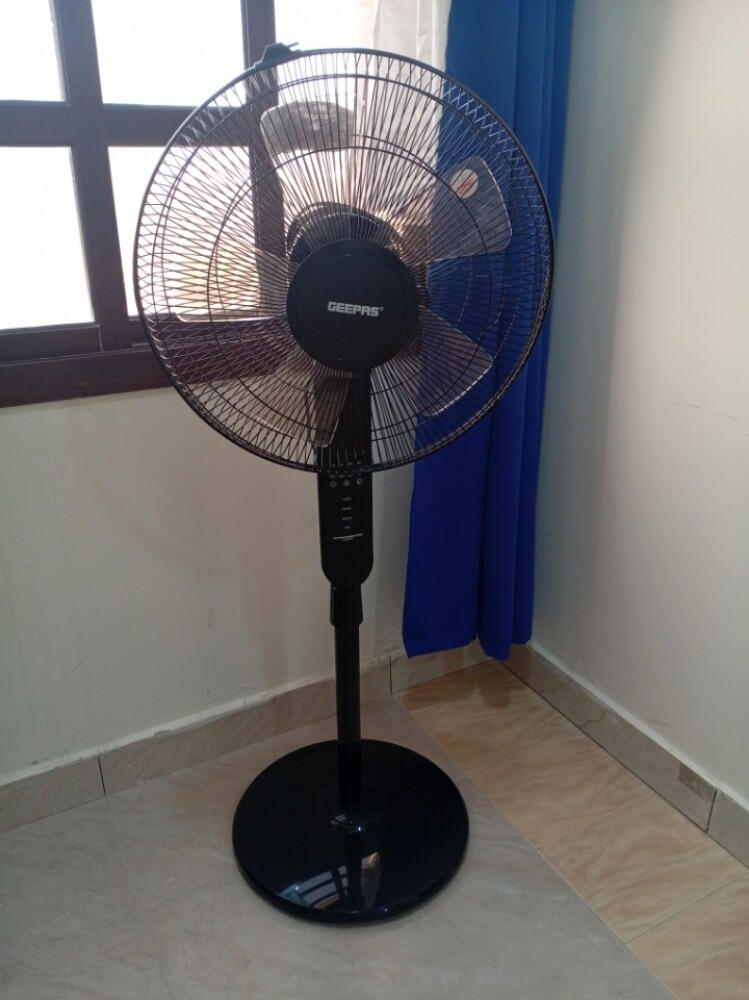 New Fan - 1