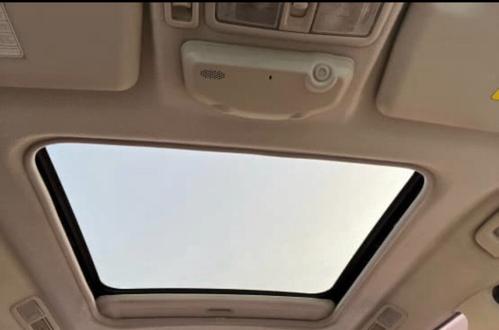 باجيرو الإصدار الذهبي - 10