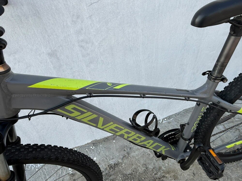 SILVERBACK M - 2