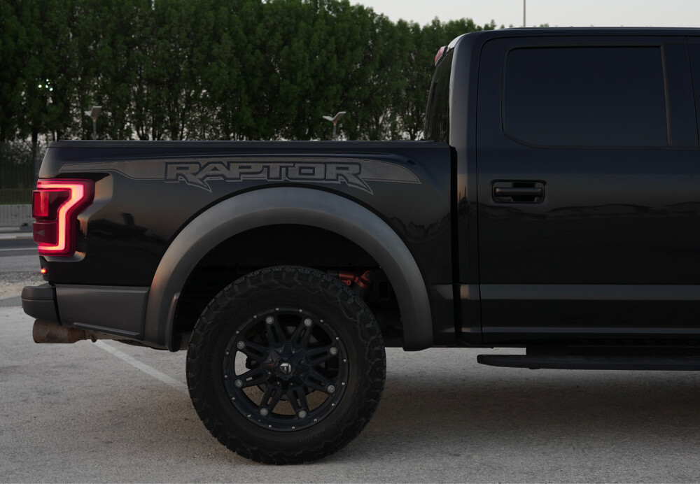2019 Ford Raptor  - 4