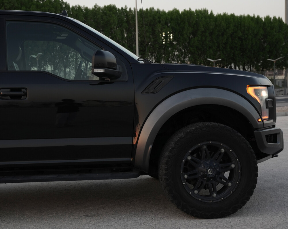 2019 Ford Raptor  - 3