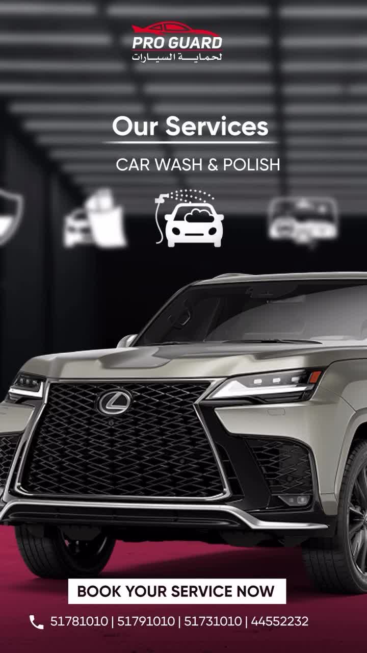 Pro Guard Car Protection - 3