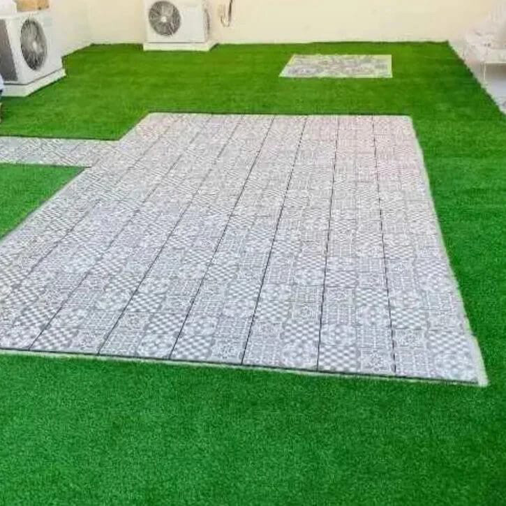سمك الكارب العشبي - 5