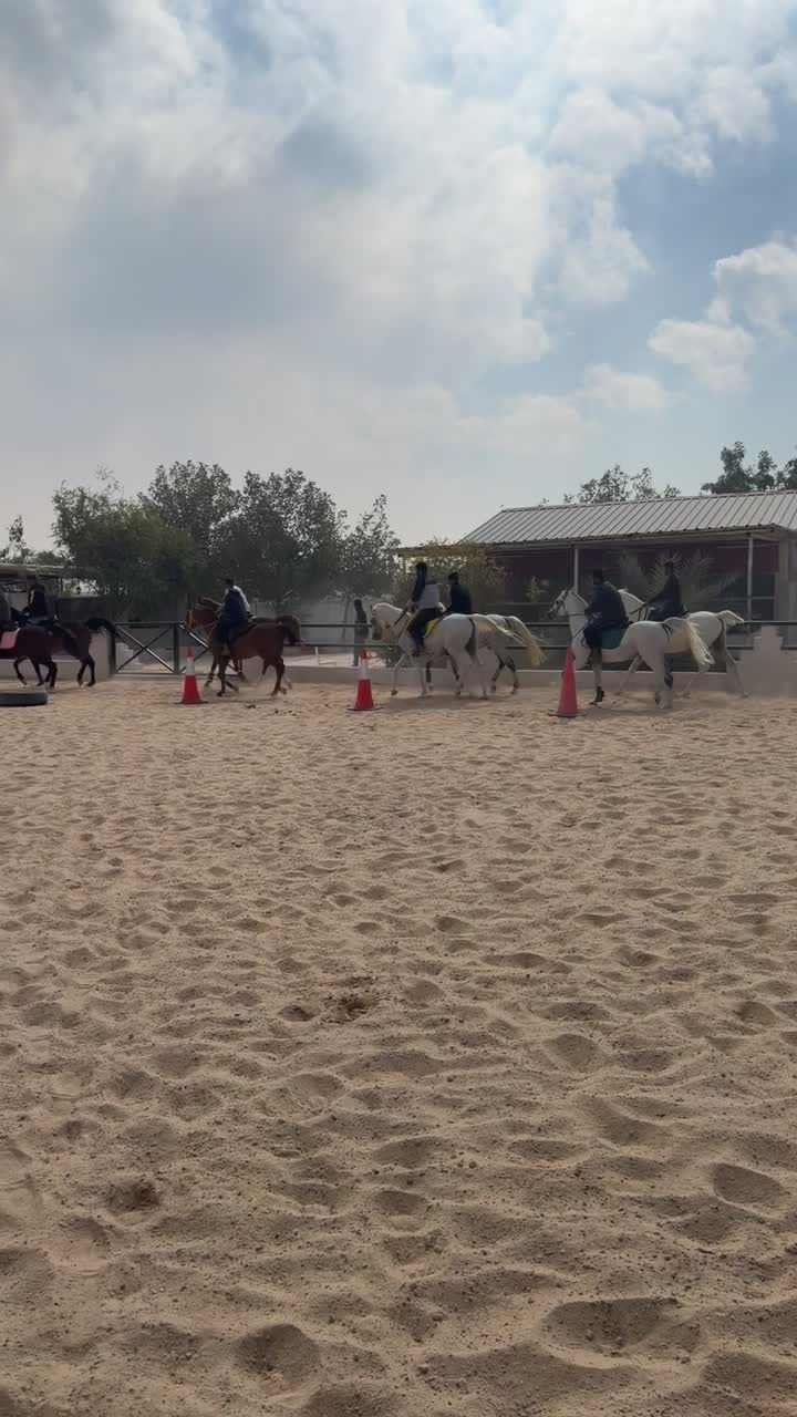 تدريب وايواء خيل  - 7