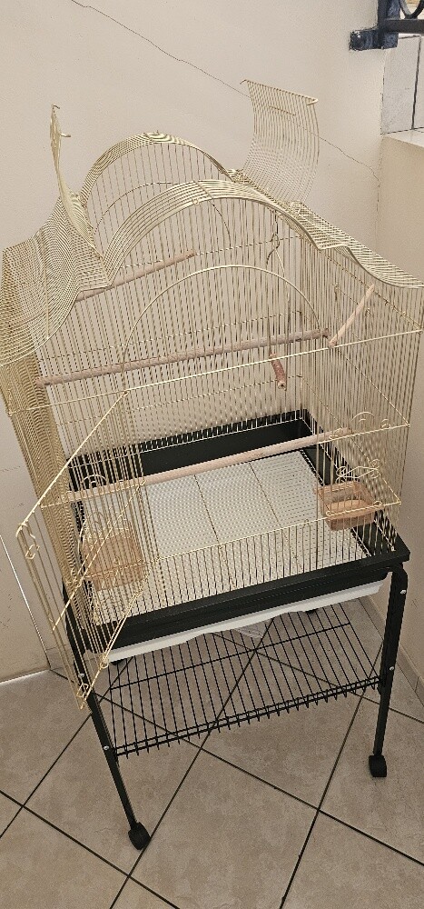 big cage - 1