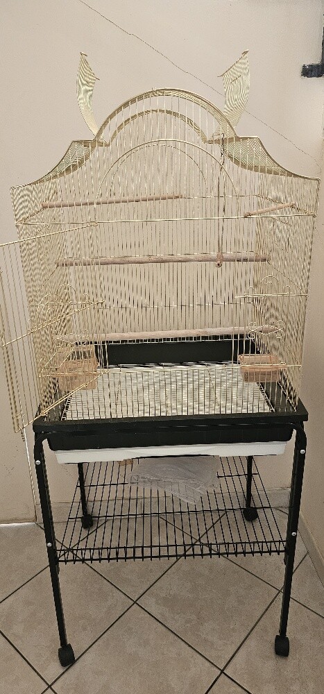 big cage - 2