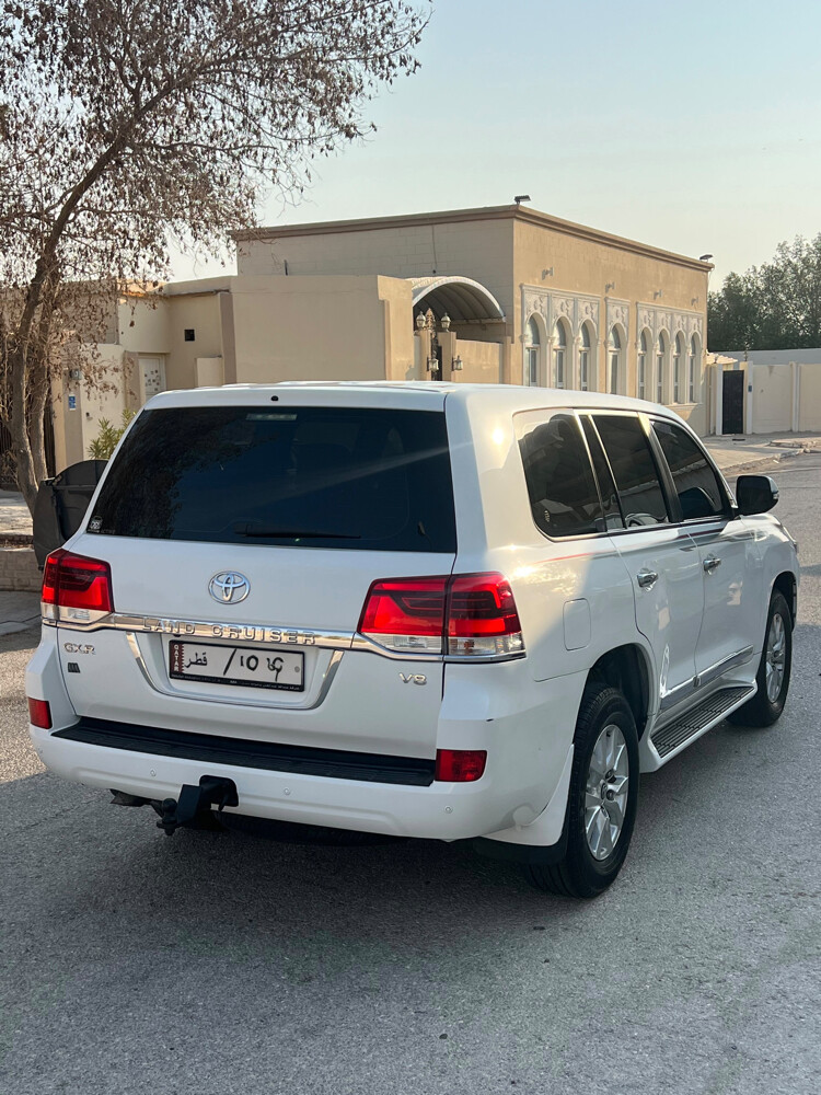 جكسار ٢٠١٩  - 2
