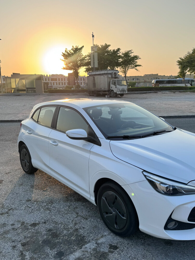 nice mg3 - 6