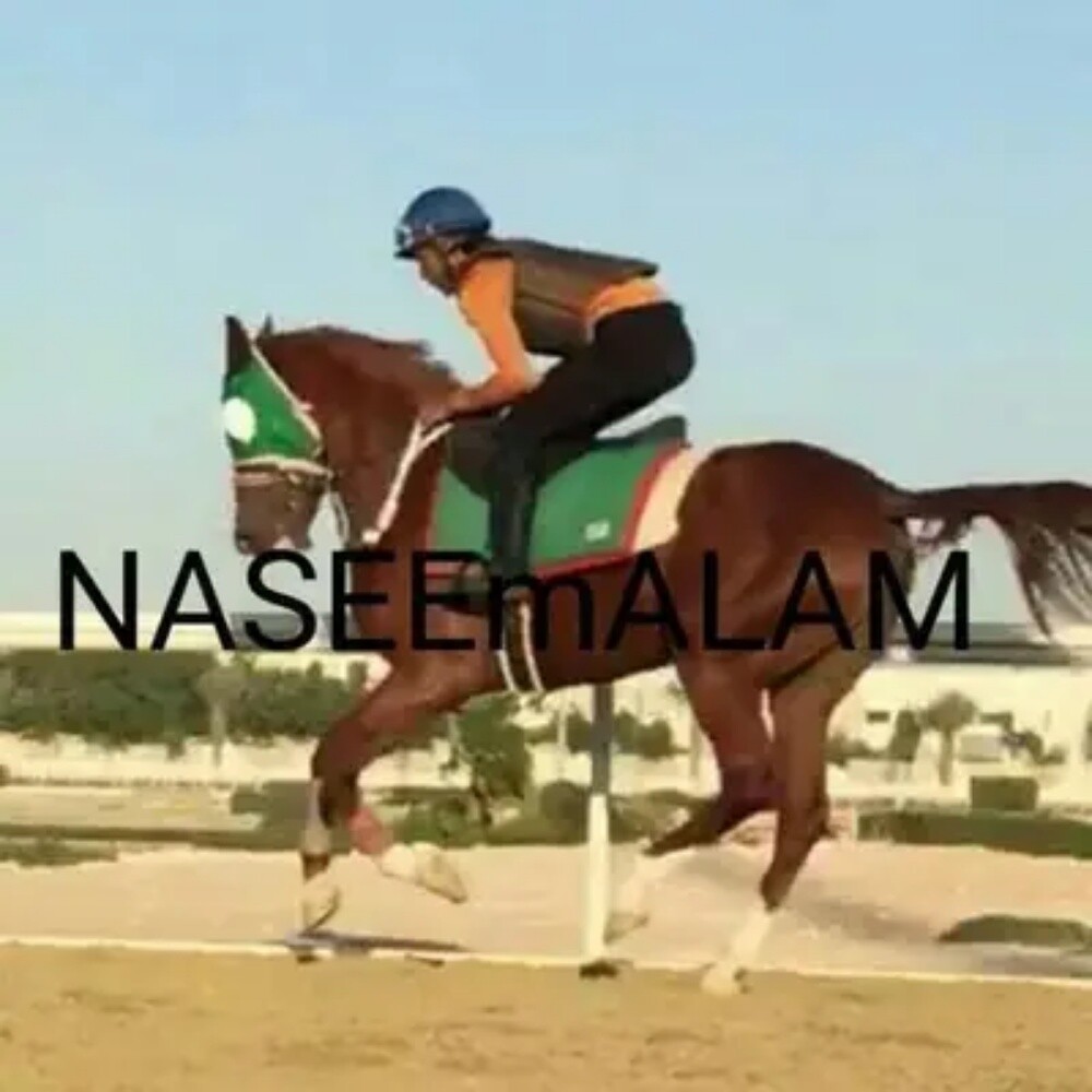 nashim reading - 1