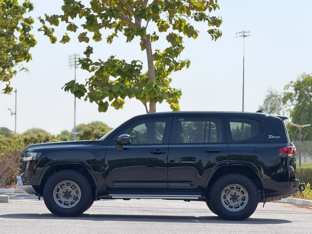 Toyota Land Cruiser GX - 8
