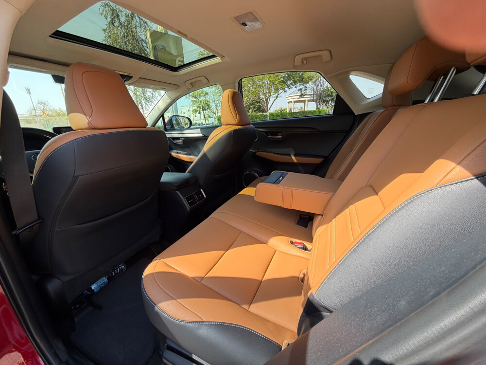 Lexus NX 300 - 14