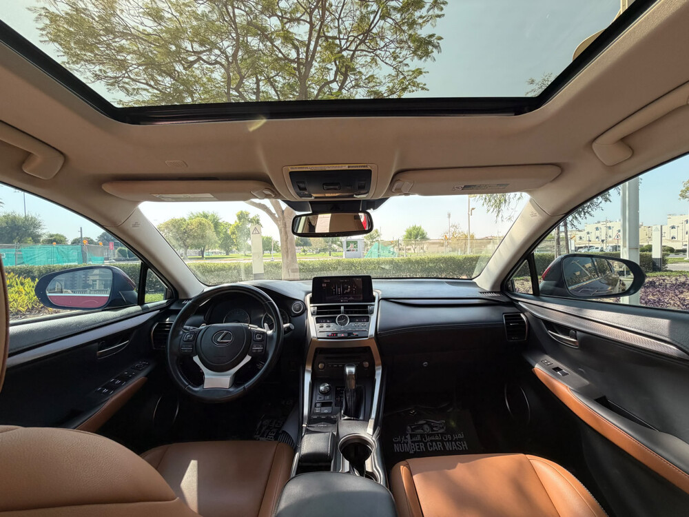 Lexus NX 300 - 13