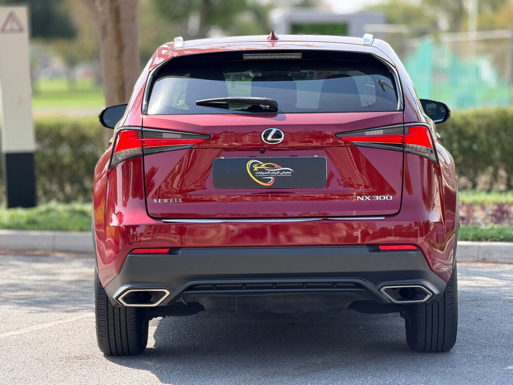 Lexus NX 300 - 5