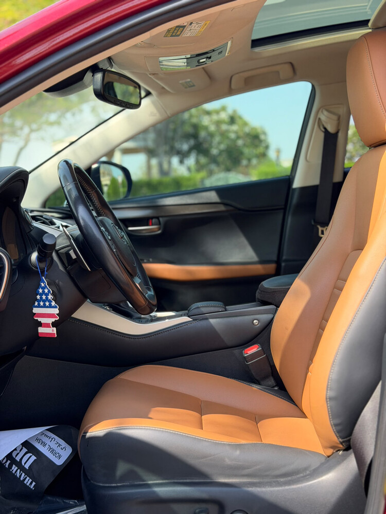 Lexus NX 300 - 11