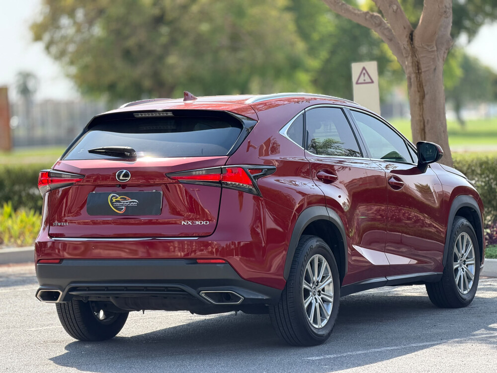 Lexus NX 300 - 4
