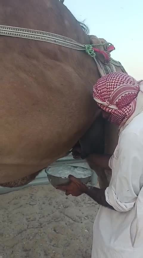 خلفه طيبه - 1