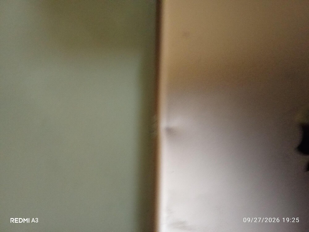 IPAD 7 - 3