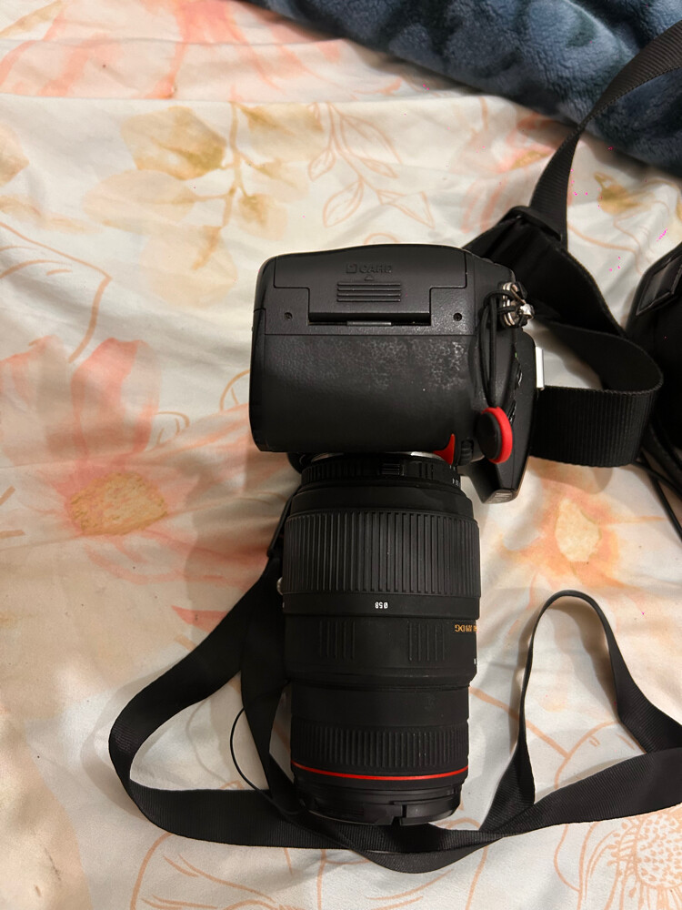 Nikon d7000 - 3