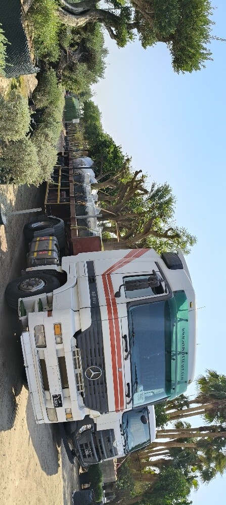 actos mp1 istemara 5 mounts - 4