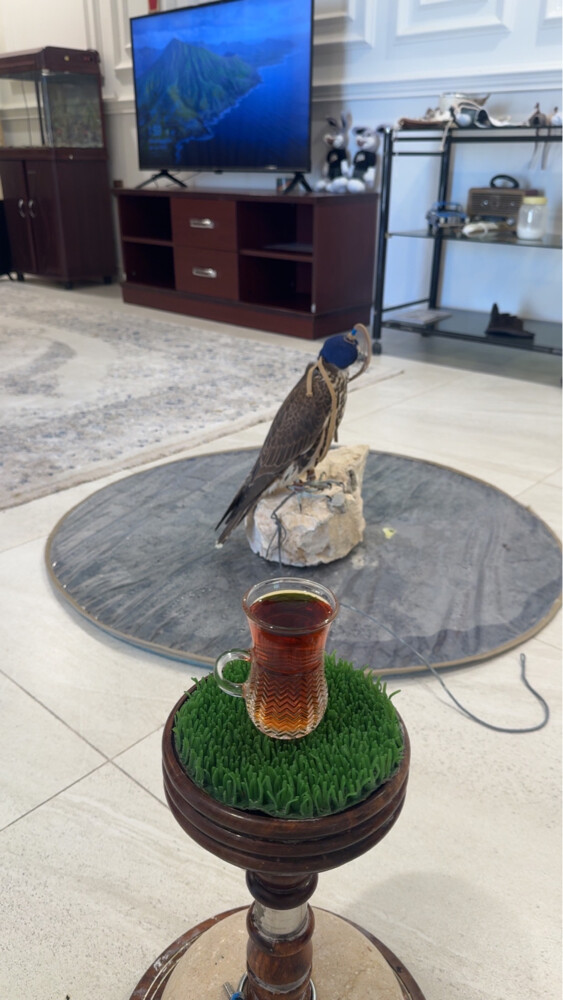 فرخ قرموشه وحش - 3