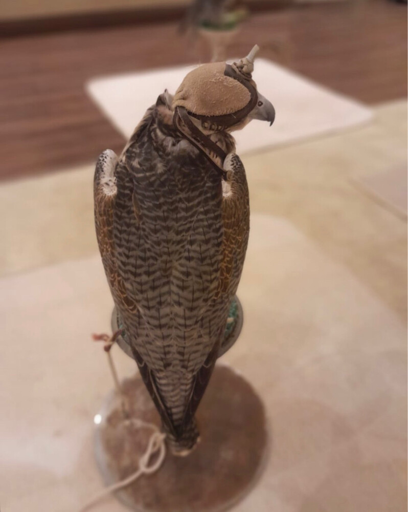 جير تبع للبيع - 3