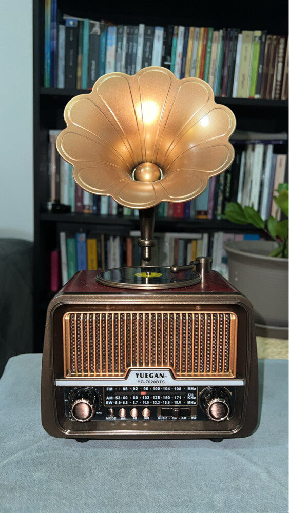 radio & bluetooth music  - 1