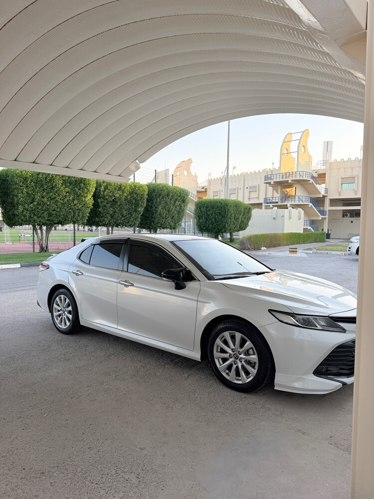 صبغ الوكالة  - 2