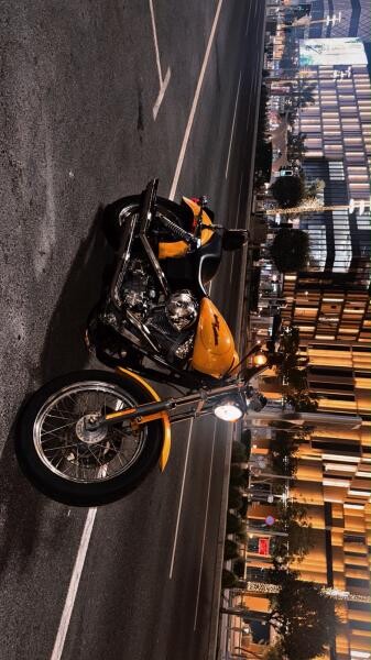 Harley-Davidson Dyna Super Glid - 6