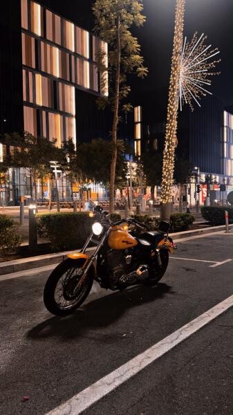 Harley-Davidson Dyna Super Glid - 4