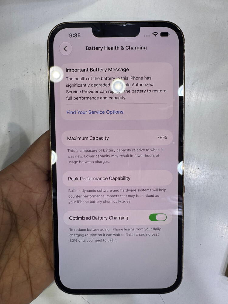 iPhone 13 Pro Max 1 TB - 6