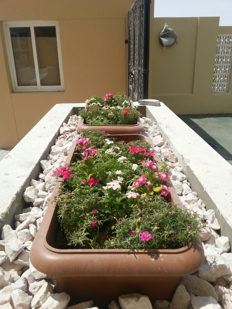 تنسيق حدائق - 2