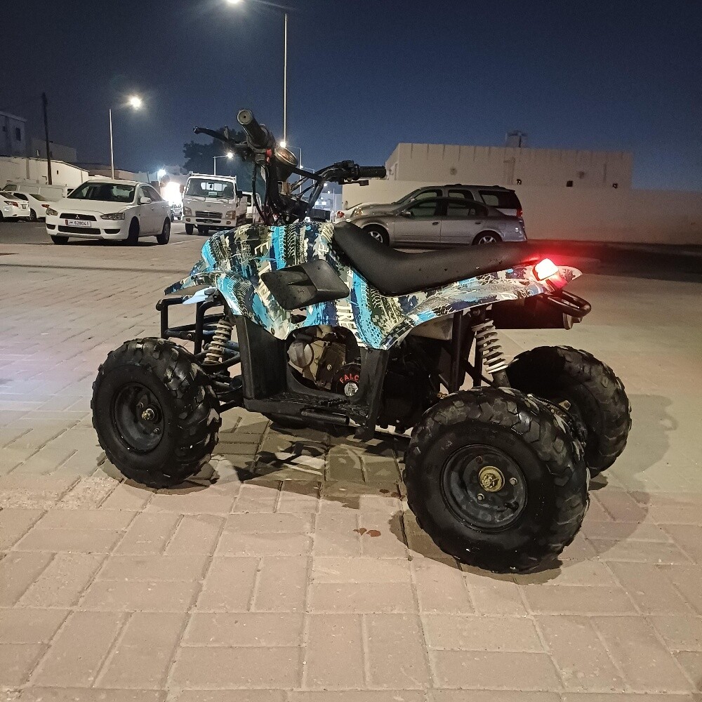 Buggy Petrol 110cc - 3