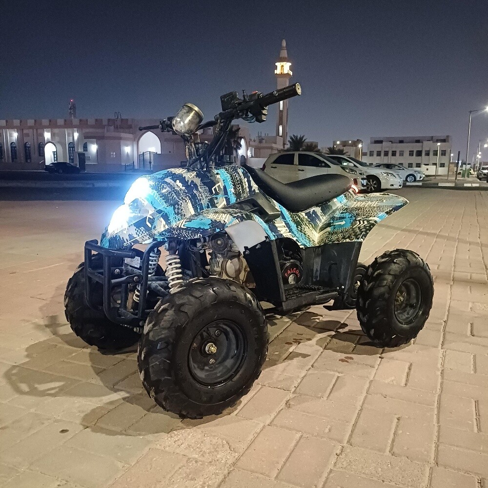 Buggy Petrol 110cc - 5