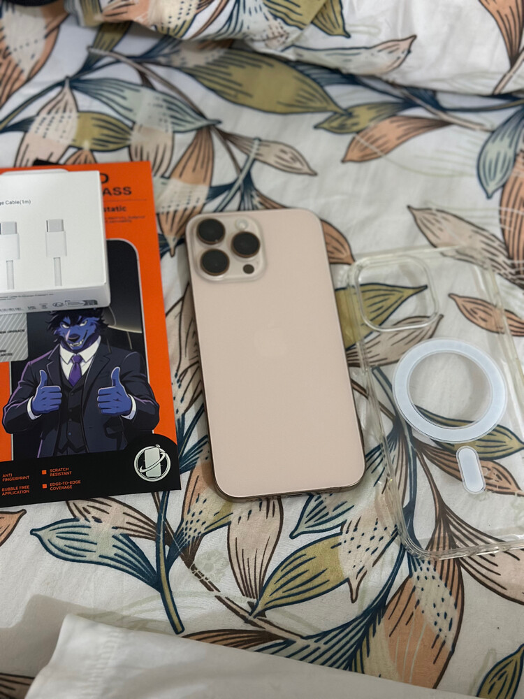 16ProMax 256gb 93battry - 1