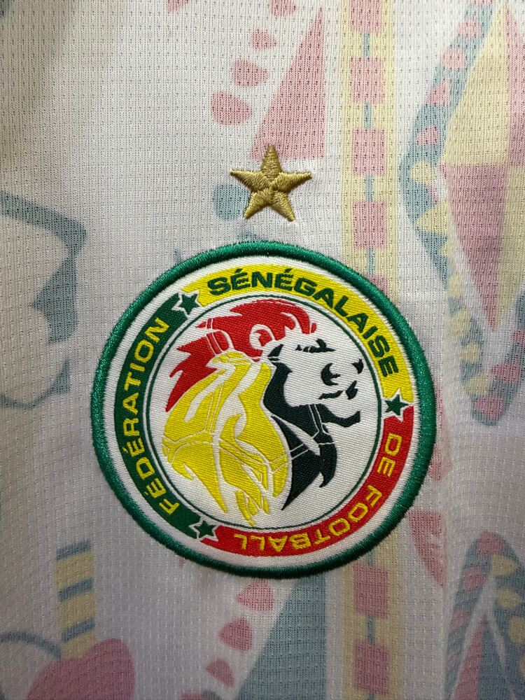 Senegal national football team - 3