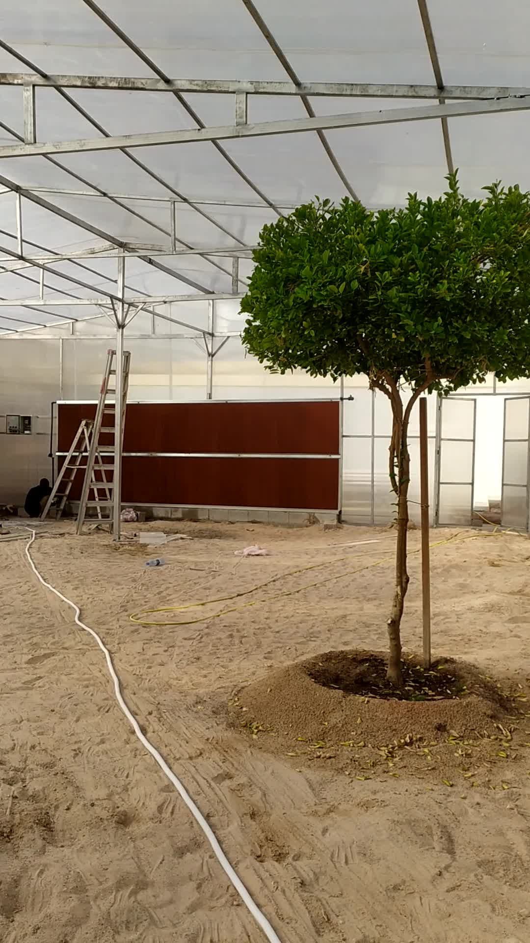 green house working - 2