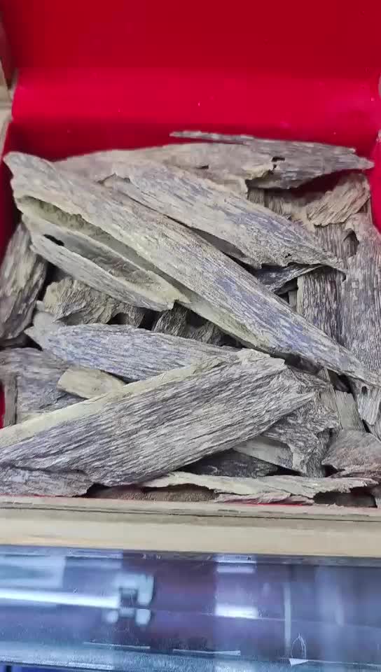 oud sumatrea - 1