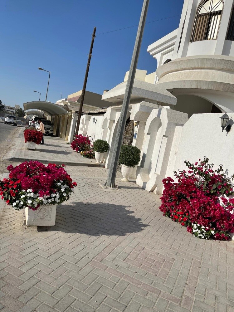Garden  and new agriculture - 22