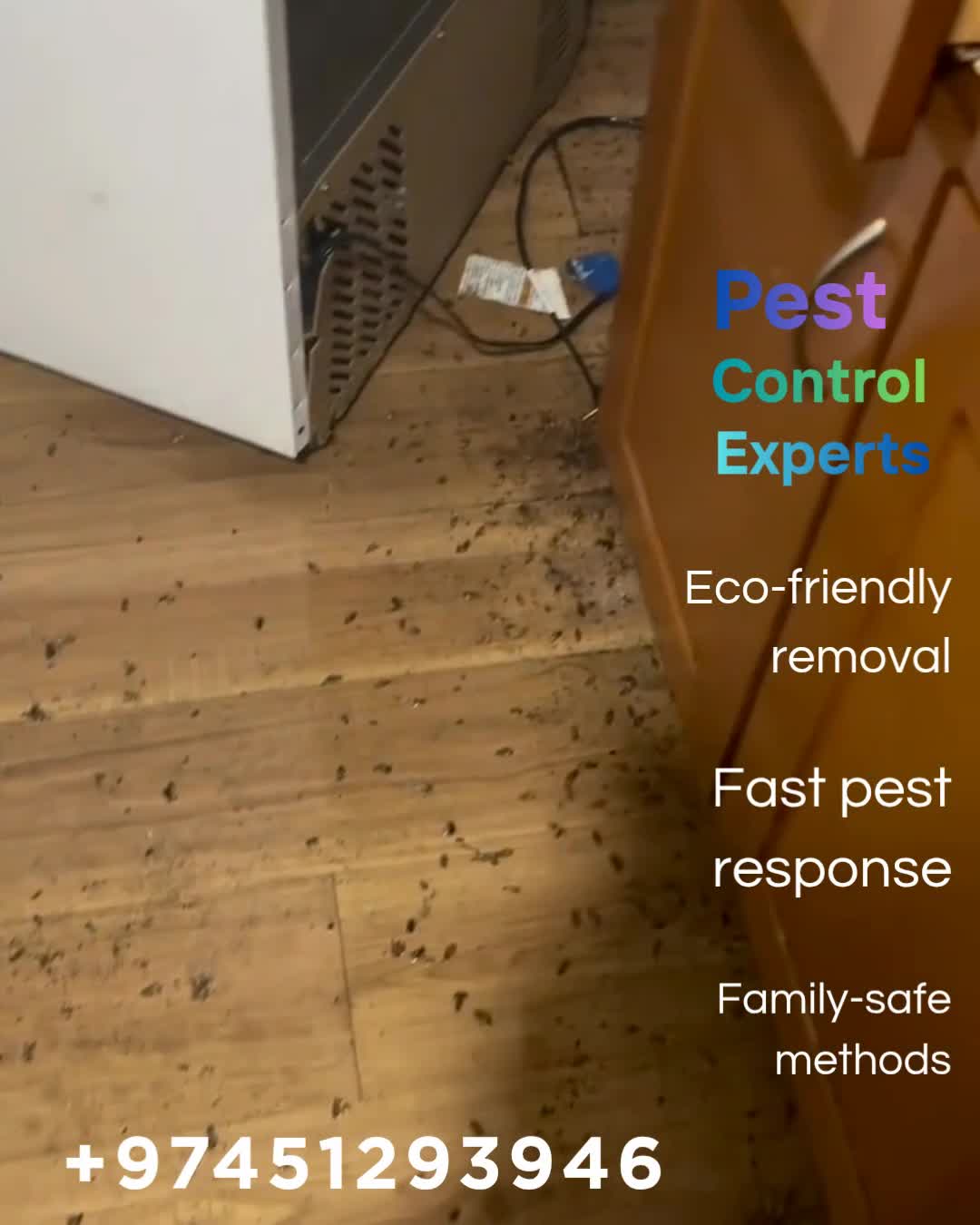 MOZON AL DOHA PEST CONTROL - 5