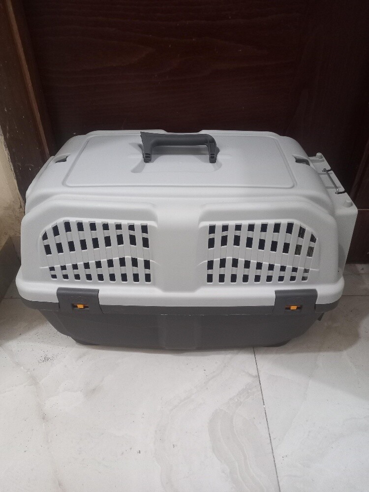 cats items for 100qr - 8